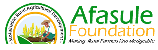 AFASULE Foundation